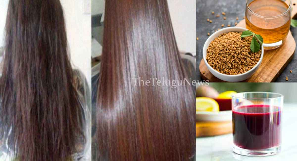 Hair Tips : ఇది రాశారంటే… ఎంత పల్చటి జుట్టు అయినా ఒత్తుగా పెరుగుతుంది…