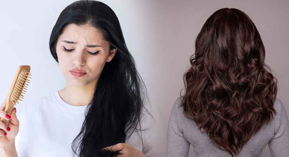 Hair Tips : జుట్టు రాలే సమస్యతో బాధపడుతున్నారా… అయితే ఇది ట్రై చేసి చూడండి… 7 రోజులలో కొత్త జుట్టు రావడం ఖాయం..