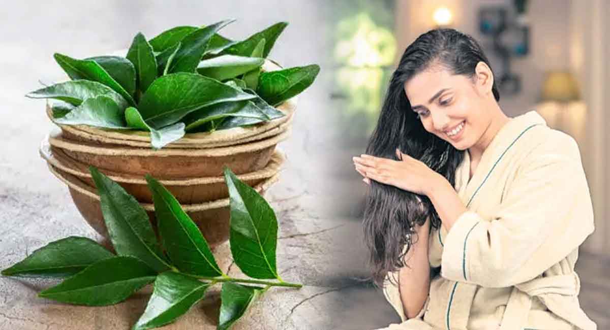 Hair Tips : కరివేపాకులో ఇది కలిపి రాశారంటే… జుట్టు పొడవుగా, ఒత్తుగా పెరుగుతుంది…