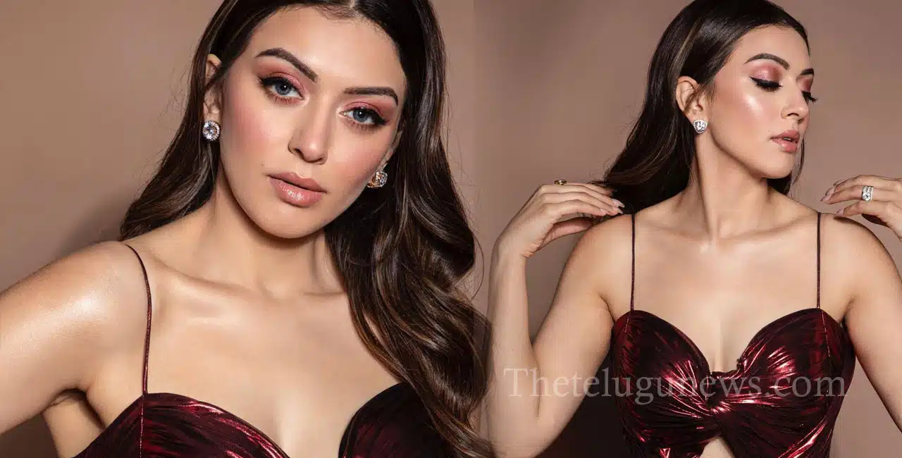 hansika motwani cute looks viral