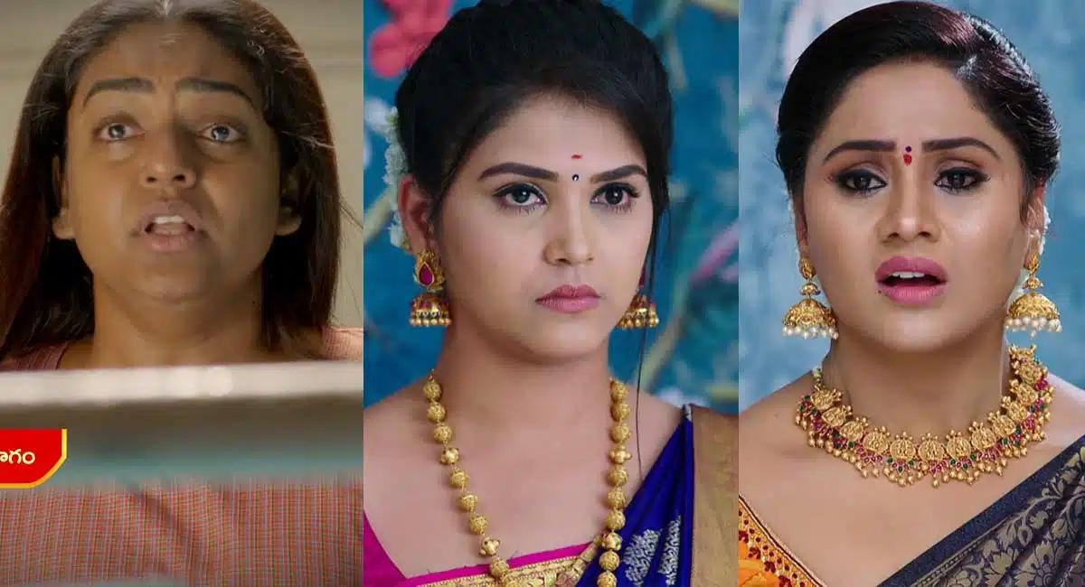 Karthika Deepam 13 August 2022 Full Episode