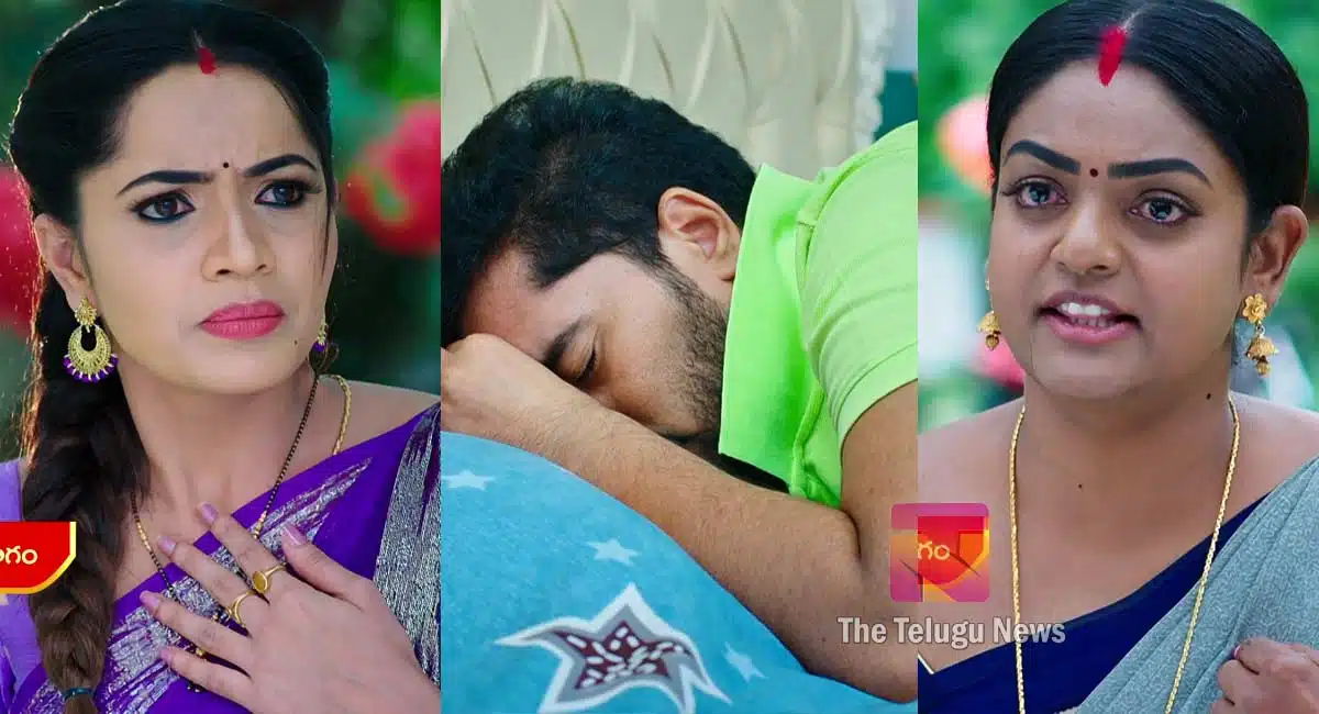Karthika Deepam 23 August 2022 Full Episode