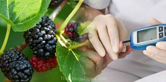Diabetes Health Benefits Of Mulberry Fruits For Diabetic People