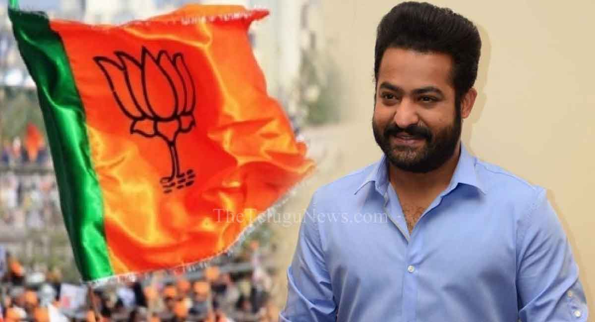 Jr NTR : యంగ్ టైగర్ ఎన్టీయార్‌తో బీజేపీ సరికొత్త రాజకీయం.?