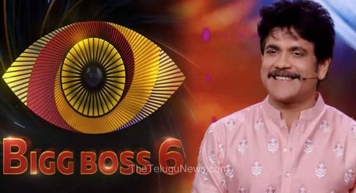 Nagarjuna : బిగ్ బాస్ కోసం నాగార్జున పారితోషికం ఎంతో తెలిసి పోయింది