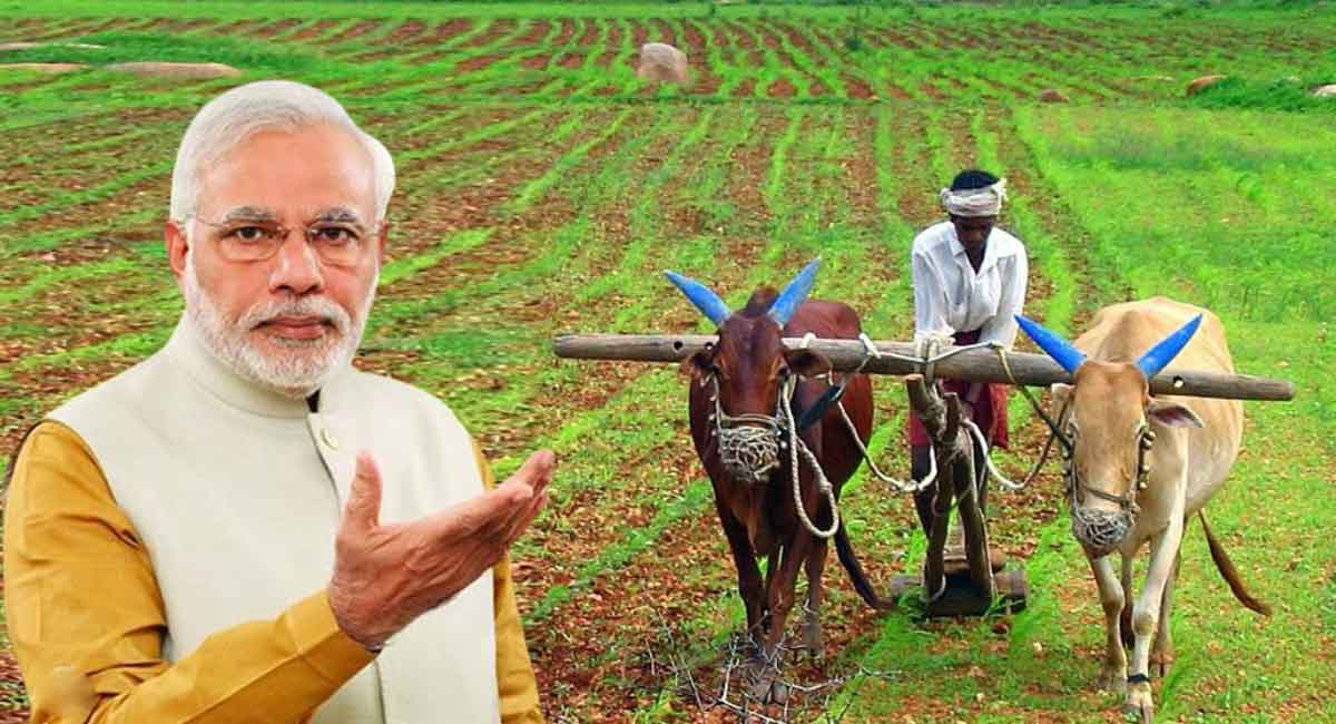 PM Kisan : ఈసారి పీఎం కిసాన్ నుంచి రూ.2000 కాదు రూ.4000 జమ కానున్నాయి!! ఇలా చెక్ చేసుకోండి..