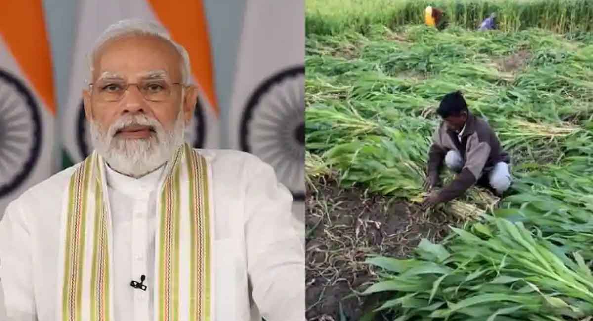 PM Kisan : రైతులకు గుడ్ న్యూస్… త్వరలోనే పీఎం కిసాన్ 12వ విడత నిధులు విడుదల.