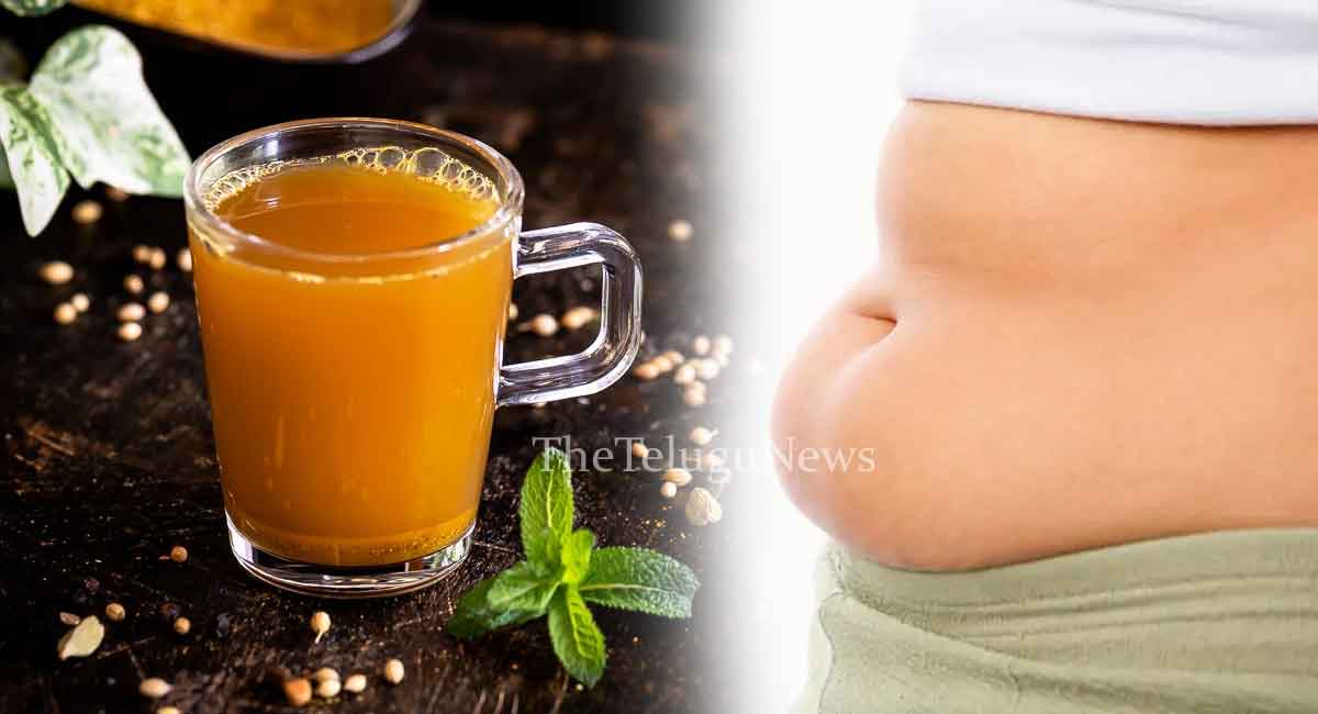 Health Tips : ఈ కషాయం త్రాగారంటే… డెలివరీ తర్వాత వచ్చే పొట్ట తగ్గిపోతుంది…