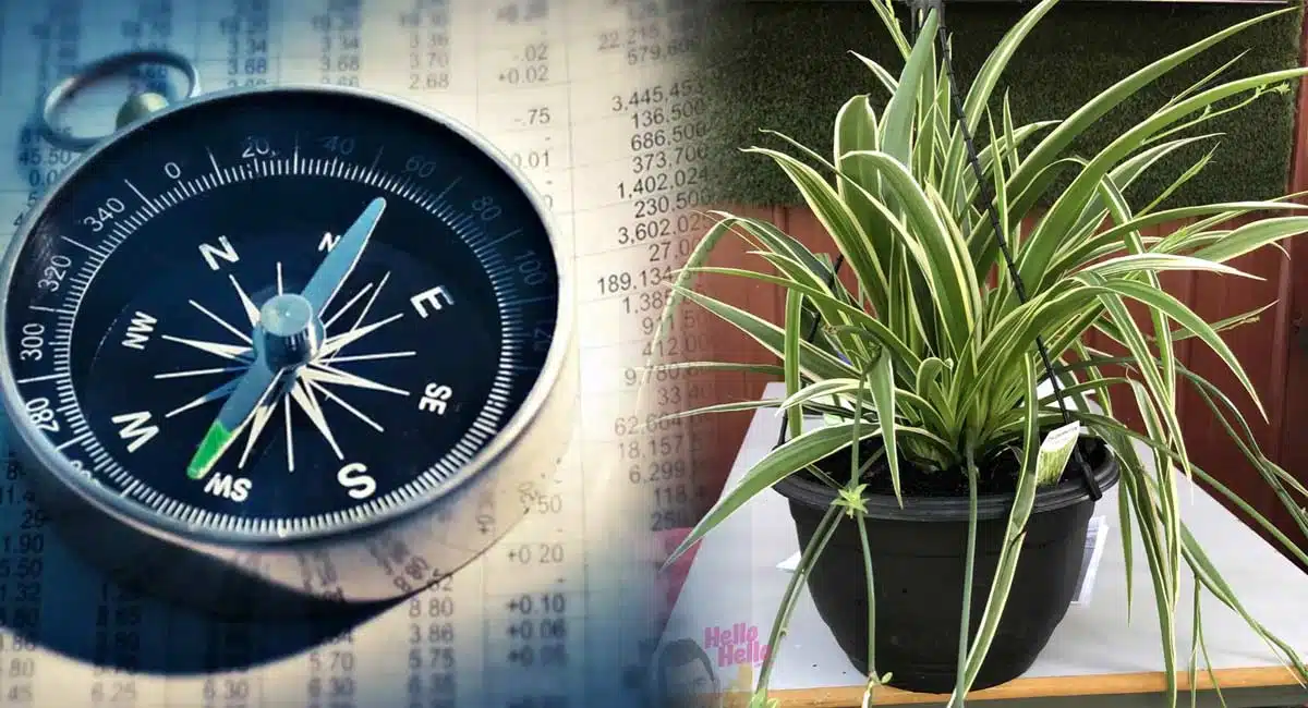 Vastu Tips for your home