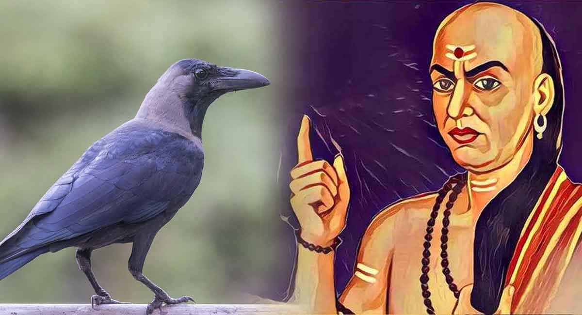 Chanakya Niti : కాకి నుండి ఈ 4 విషయాలను నేర్చుకోగలిగితే.. మీకు జీవితంలో ఇక తిరుగు ఉండదు