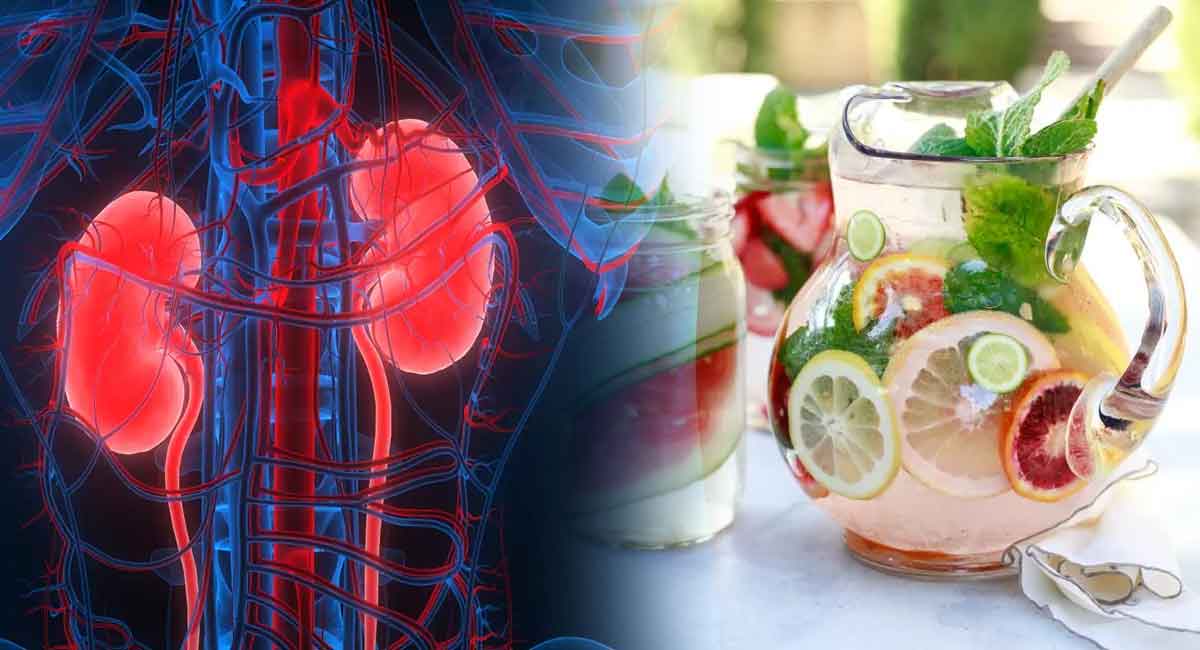 Health Benefits : డిటాక్స్ – డ్రింక్స్ తో కిడ్నీలను ఆరోగ్యంగా ఉంచుకోవచ్చు… అది ఎలాగంటే…