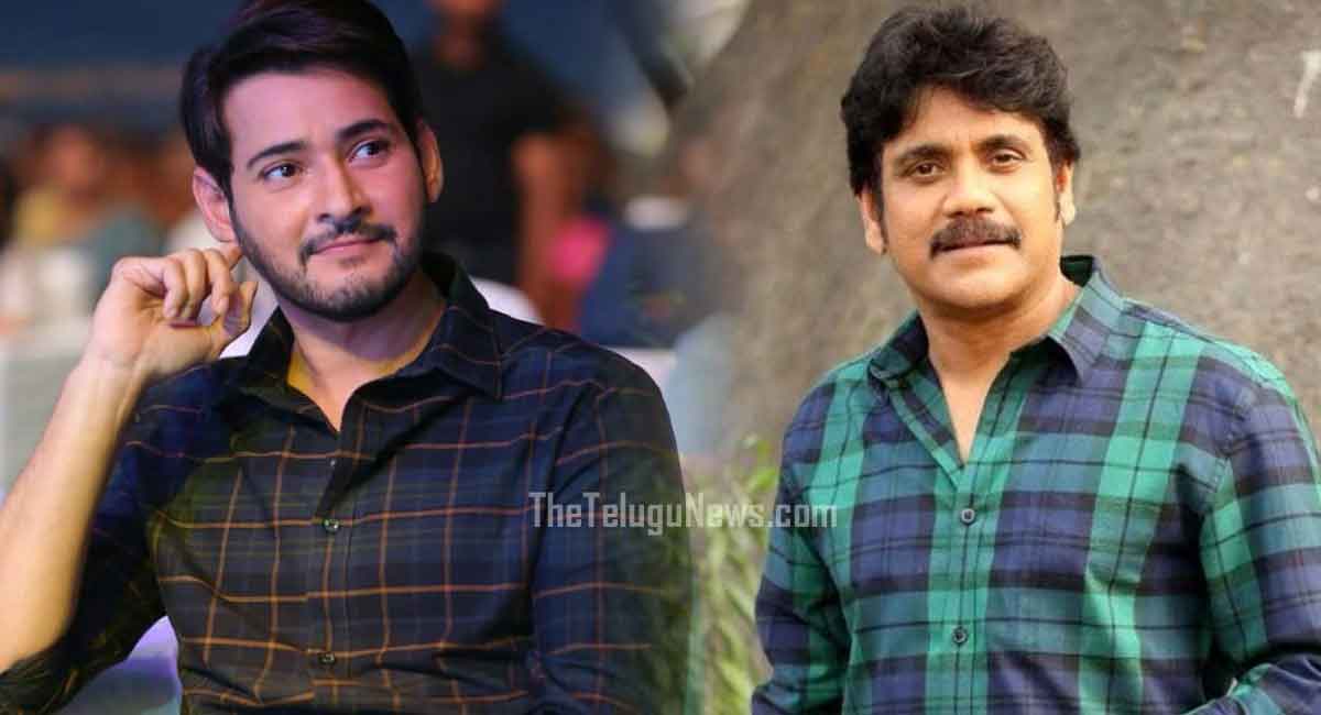 Mahesh Babu : నాగార్జునతో మహేష్ బాబు నిజంగానే ఆ మాట అన్నాడా?