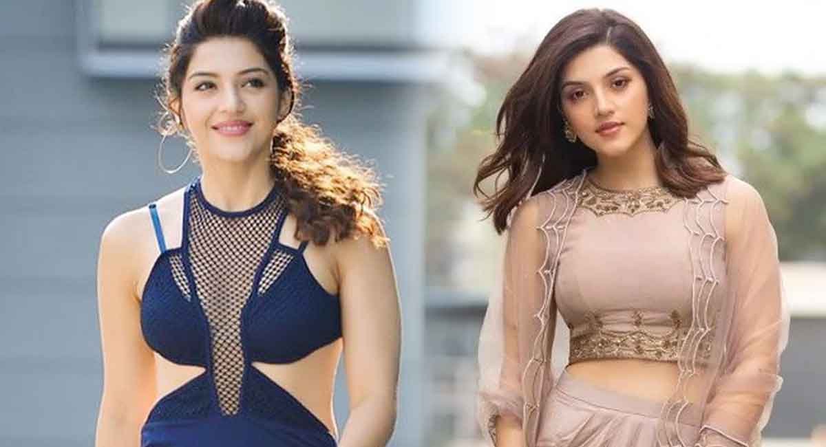 Mehreen Pirzada : స్టార్ డైరెక్ట‌ర్‌తో రిలేష‌న్ వ‌ల్ల‌నే మెహ్రీన్ పెళ్లి క్యాన్సిల్ అయిందా?