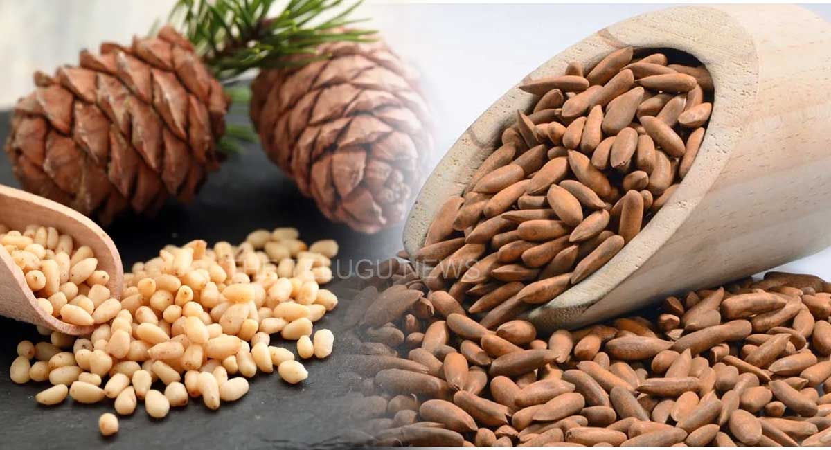 have you ever heard about chilloja have you ever heard about chiloja it has more benefits than dry fruits