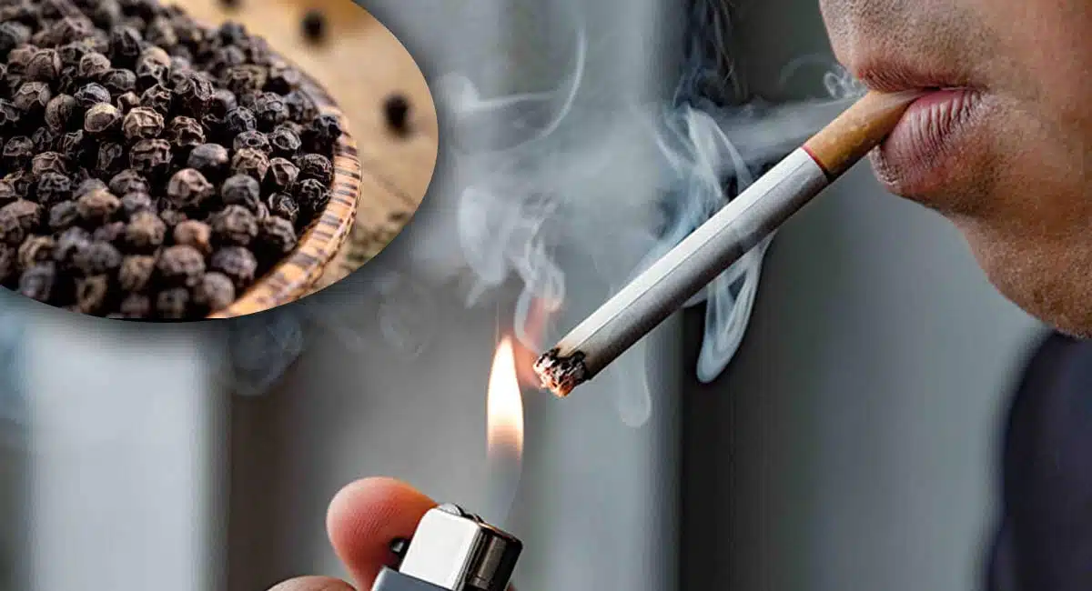 Black Pepper Health Benefits Is To Make People Stop Smoking