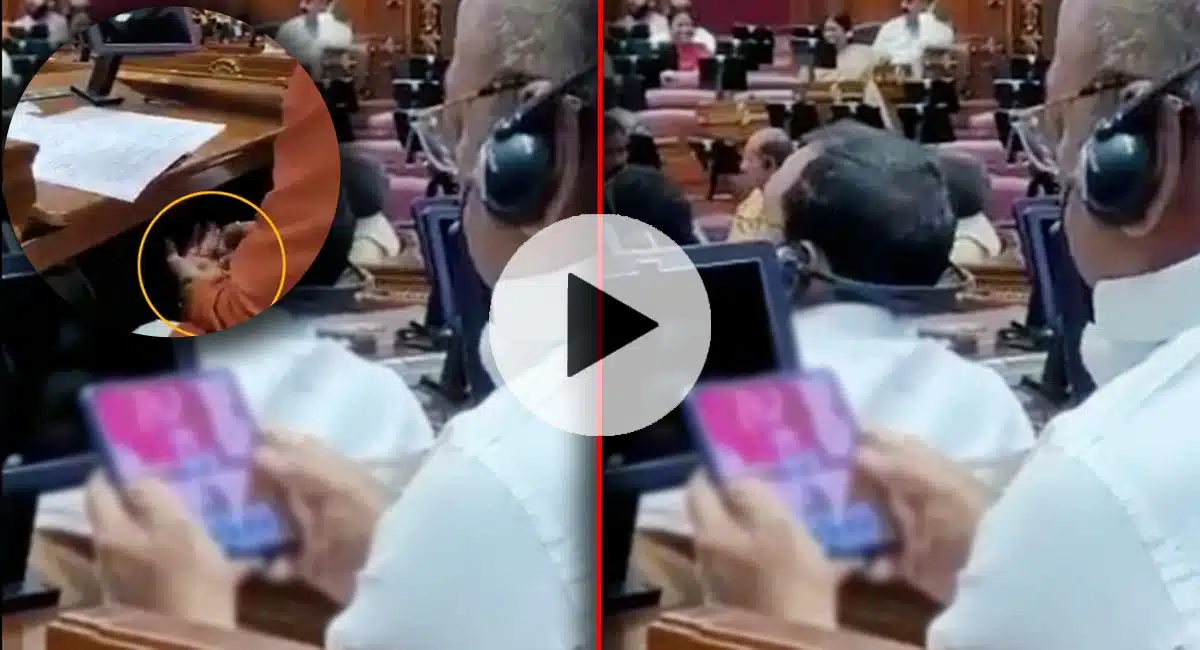 UP MLA Plays Video Games In Uttar Pradesh Assembly
