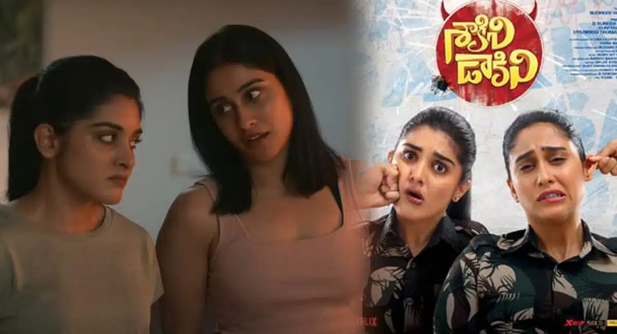 Did Saakini Daakini Movie Reach The Expectations Of Audience
