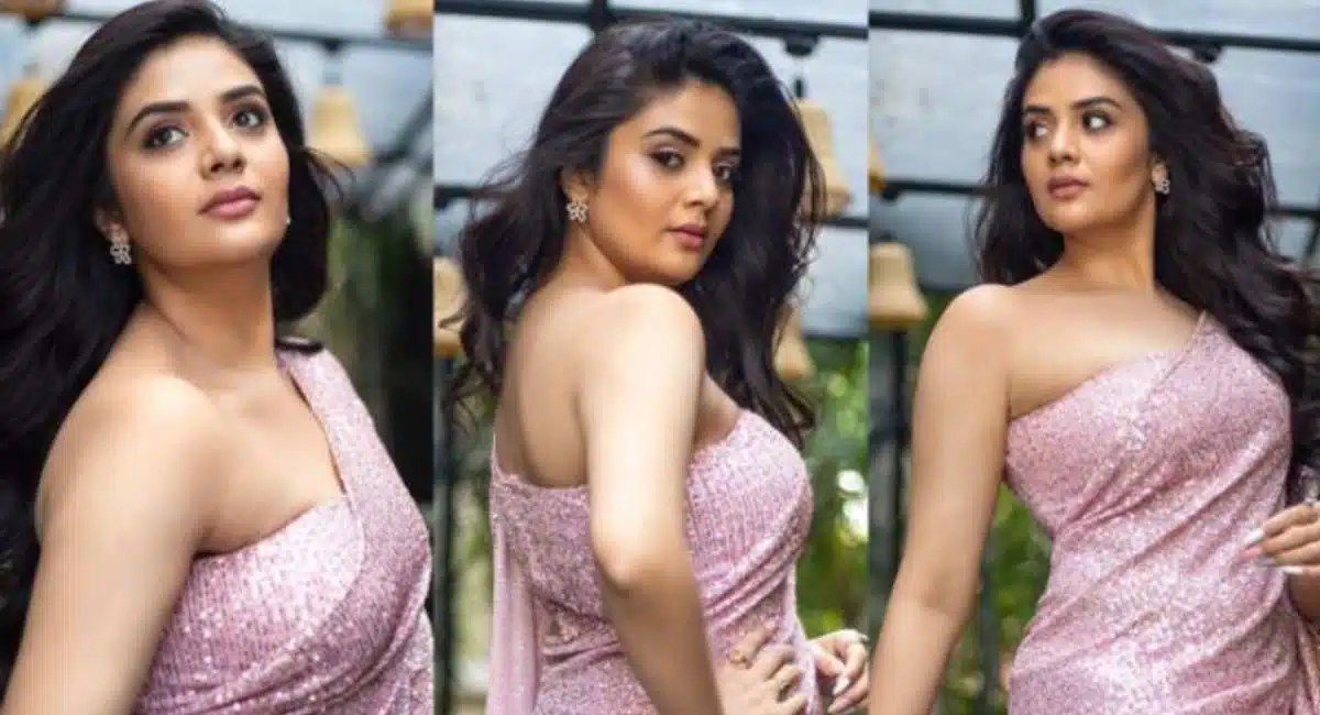 Sreemukhi who has an eye on the industry