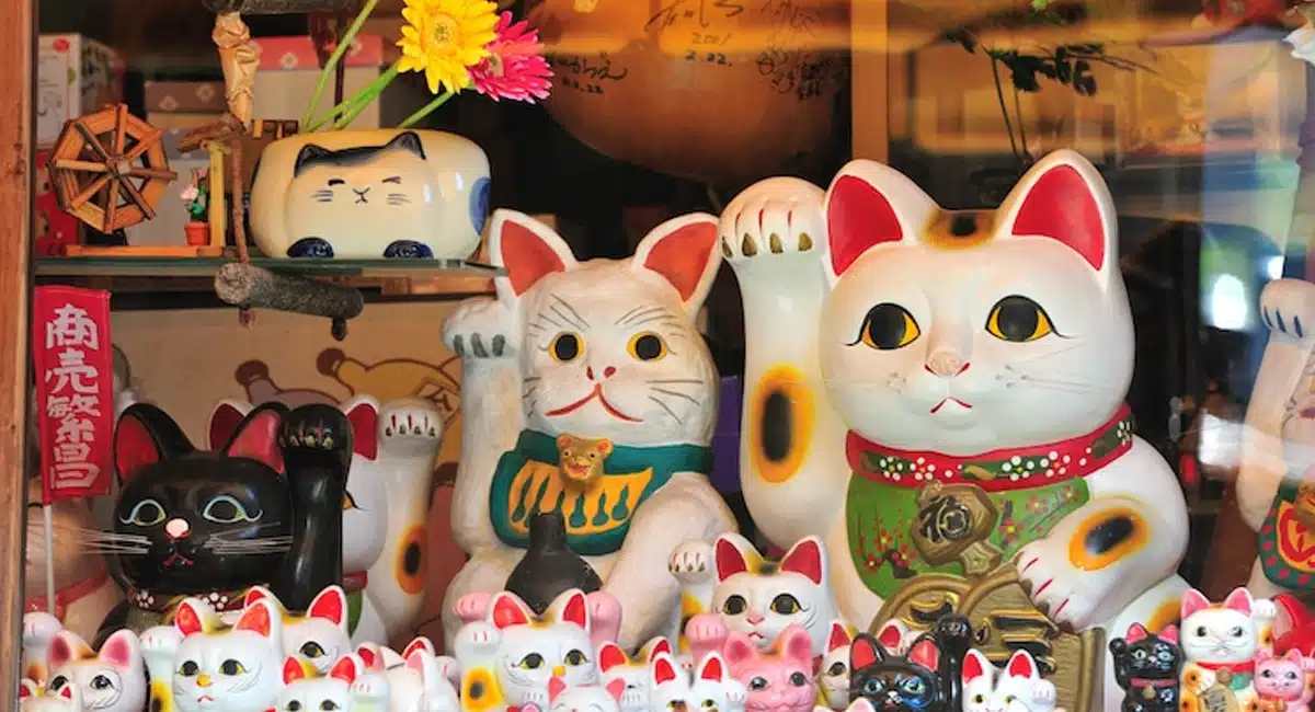 Vastu Tips for Cat In home problems
