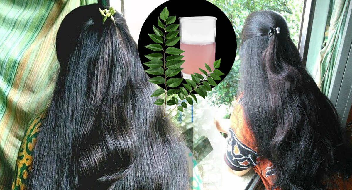 Hair Tips : వర్షాకాలంలో ఈ చిట్కాలను పాటిస్తూ, ఈ టిప్స్ ను ఫాలో అయినట్లయితే మీ జుట్టు రాలడం ఆగి ఒత్తుగా పెరుగుతుంది