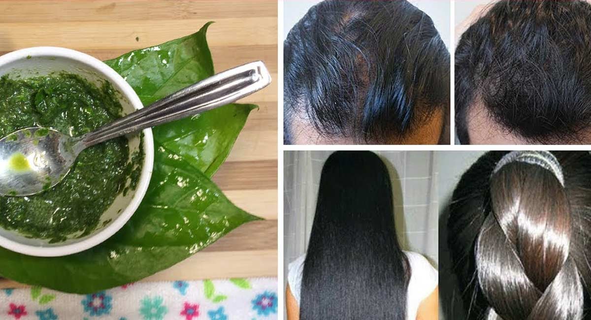 Hair Tips : జుట్టు బాగా ఊడుతుందా… అయితే ఇలా ట్రై చేయండి…!