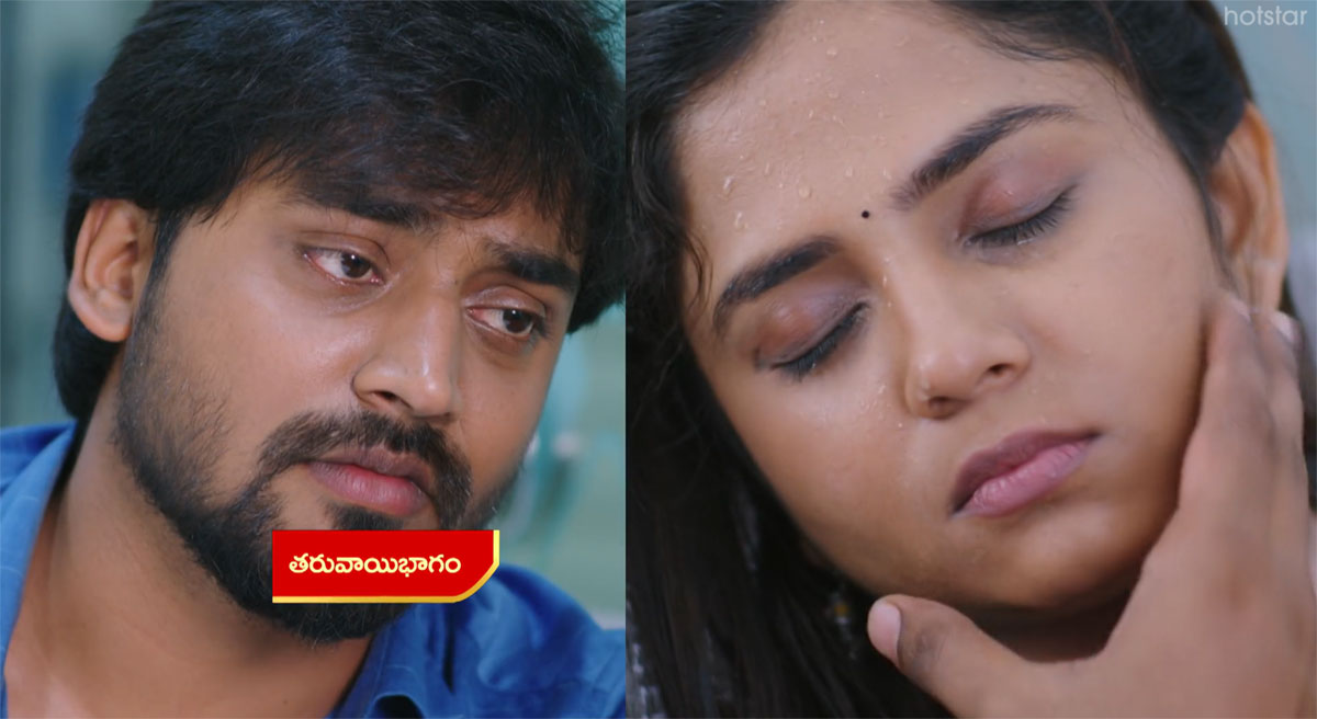 Guppedantha Manasu 1 Sep Today Episode : చివరి పరీక్ష రాయకుండా వసుకు మత్తుమందు ఇచ్చిన సాక్షి.. టాపర్ కాకుండా అడ్డుకున్న దేవయాని