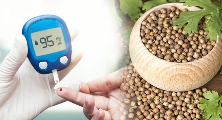 Diabetes : తప్పకుండా ఈ మొక్క గింజలను తీసుకోండి… షుగర్ ను కంట్రోల్లో ఉంచుతుంది… అధిక కొవ్వును కరిగిస్తుంది…!