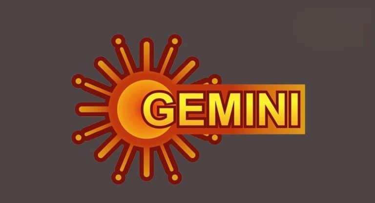 Gemini TV : జెమిని టీవీ కష్టాలు.. పెట్టేది 100 వచ్చేది 25