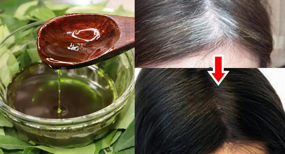 Hair Tips : జుట్టు నెరిసిపోయిందా.. కరివేపాకుతో ఇలా చేయండి…!