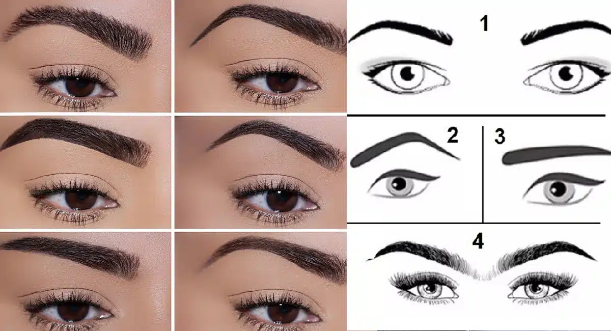 You can tell who they are by looking at their eyebrows