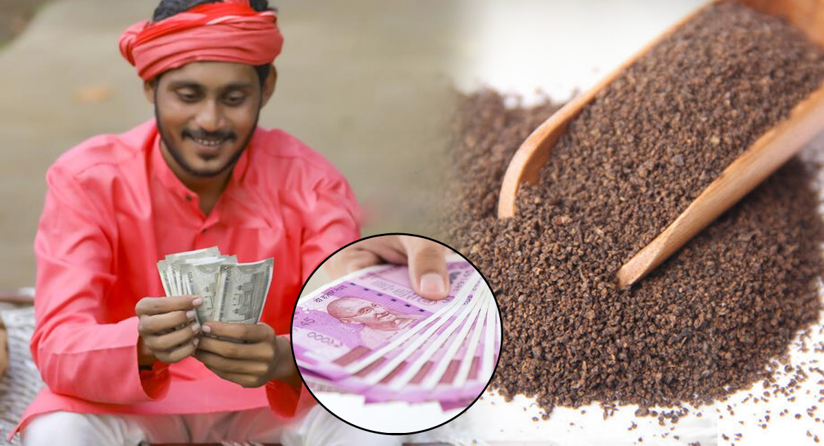 New Business Idea on Supplying tea powder