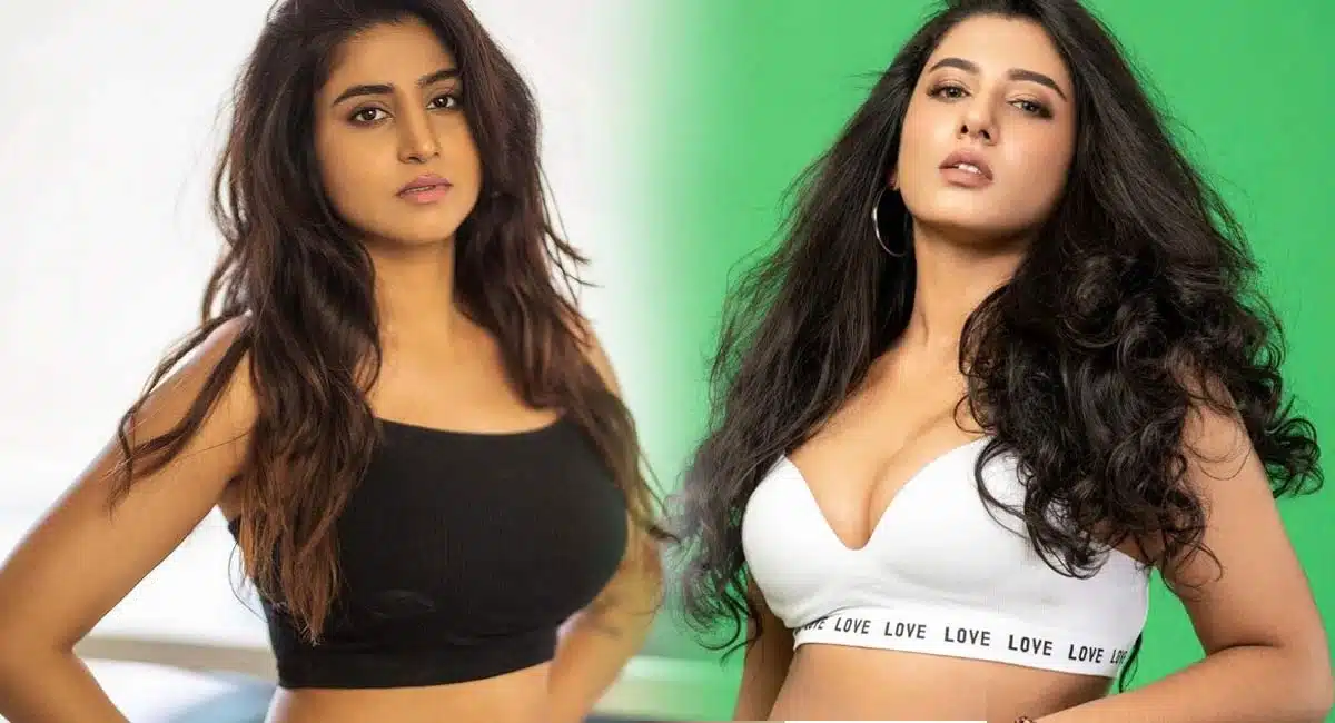 Vishnu Priya and Varshini news topic now