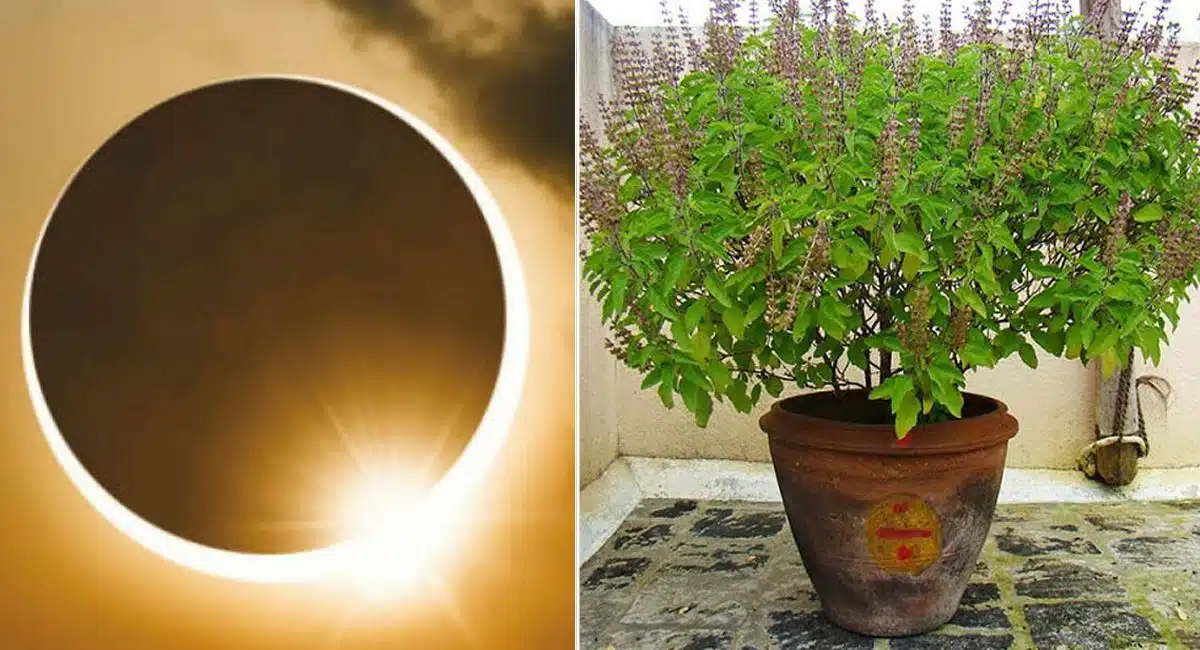 Don't make these mistakes near Tulsamma in the days before Solar Eclipse