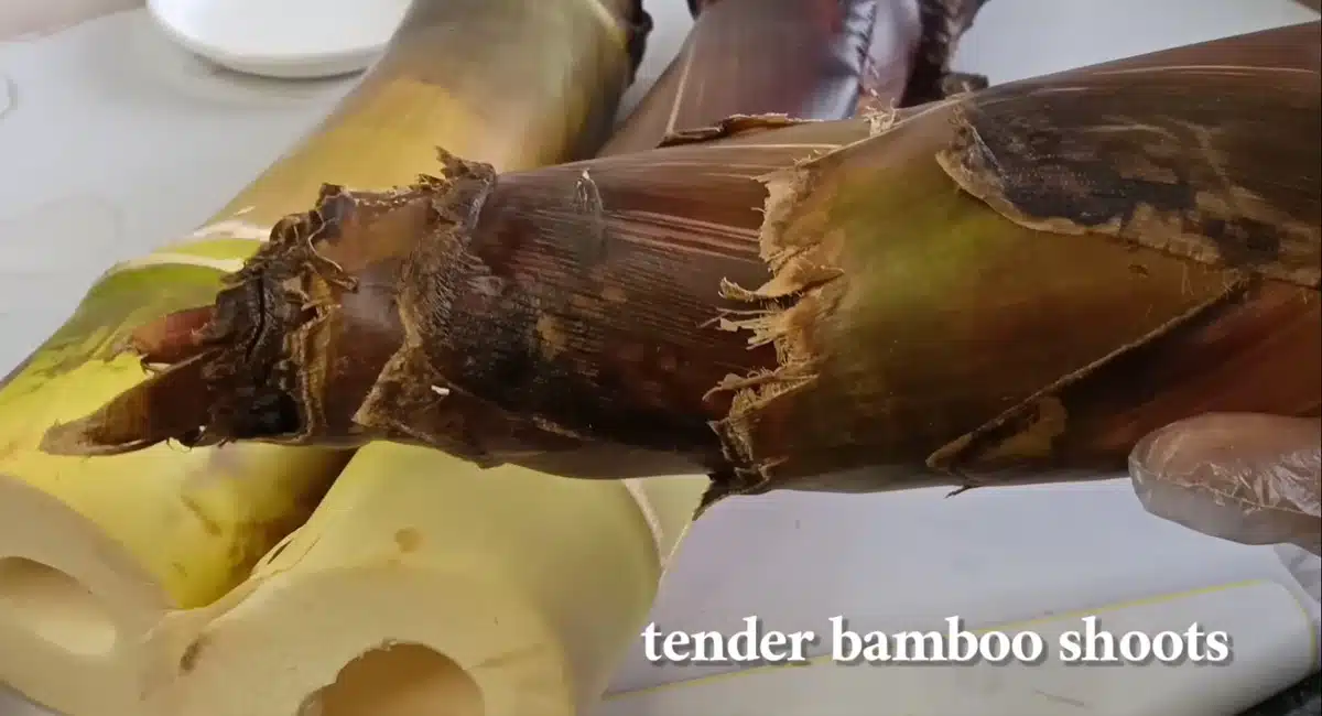 Bamboo Shoots with Masala curry video