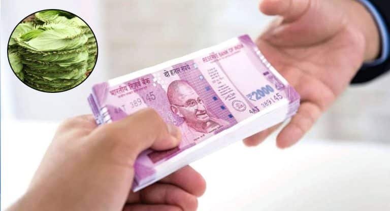 Business Idea : ఎప్పటికీ డిమాండ్ ఉండే బిజినెస్… మూడు గంటలు కష్టపడితే చాలు… లక్షల్లో ఆదాయం!