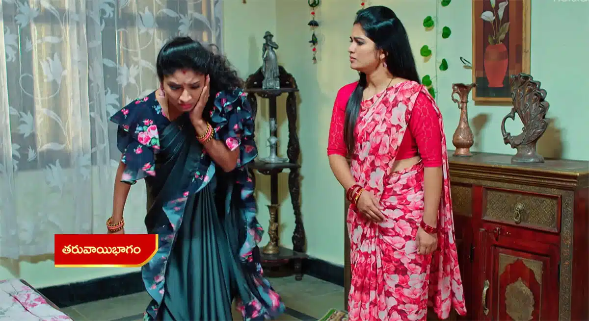 janaki gives warning to mallika over her pregnency