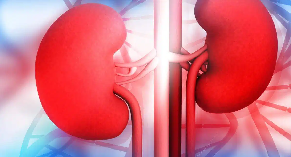 heath take care of kidney problems these 9 daily habits that can harmyour kidneys