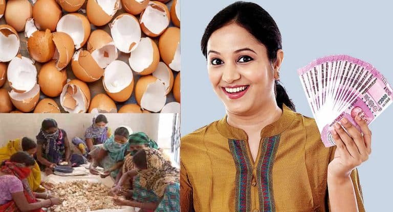 Business Idea : ఎటువంటి పెట్టుబడి లేకుండా… గుడ్డు పెంకులతో బిజినెస్…!