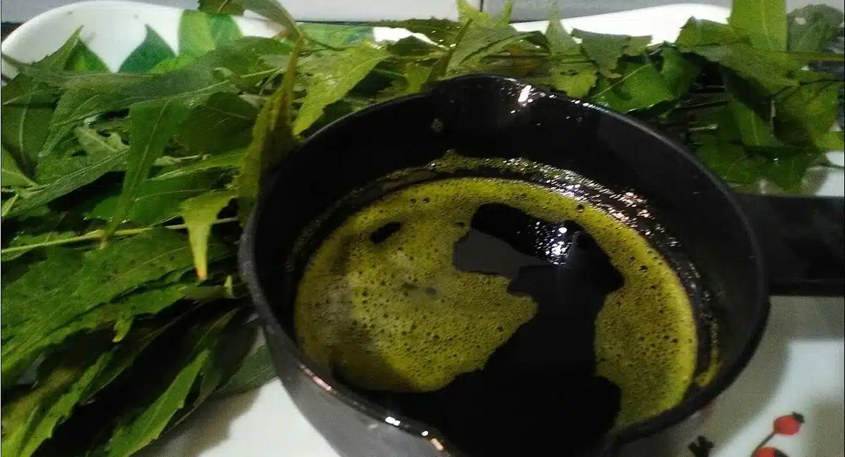 how to prepare neem oil at home