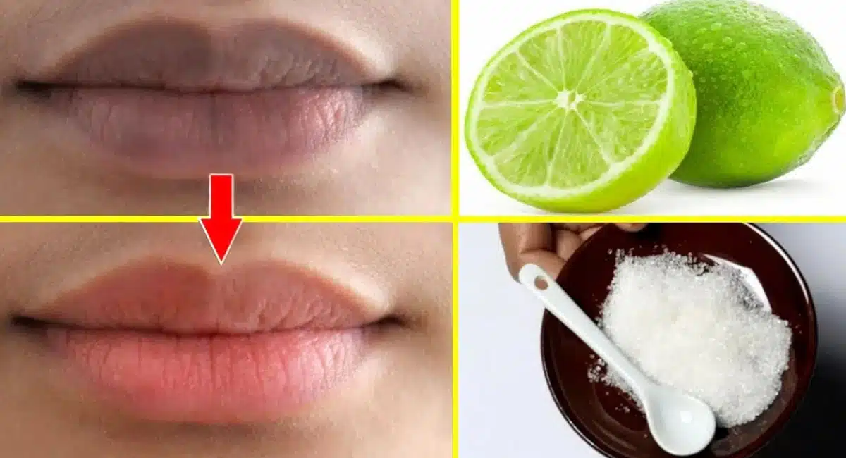 Beauty Tips on Mix rose petals in milk and apply on the lips