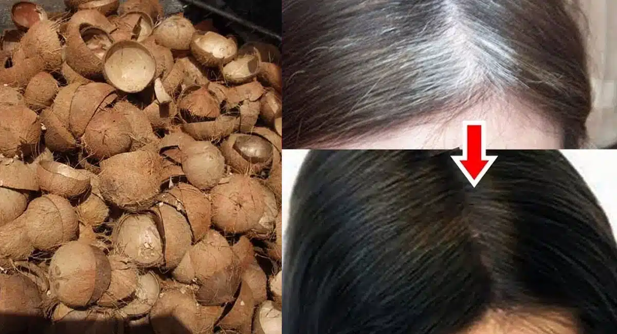 Hair Tips on Benefits of coconut shell