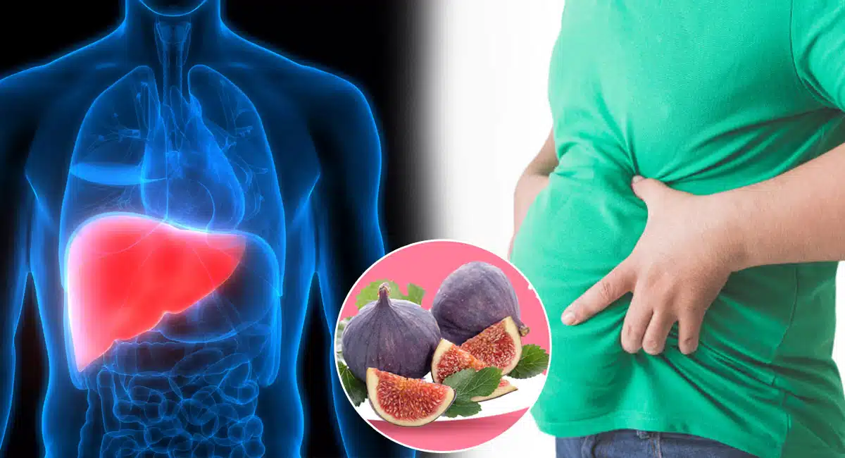 Health Benefits on ANJEER Dry Fruits 