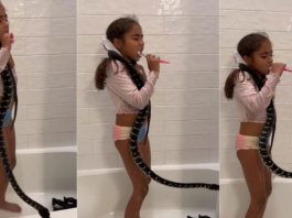 girl wear the snake in her neck viral on social media