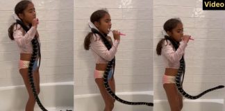 girl wear the snake in her neck viral on social media