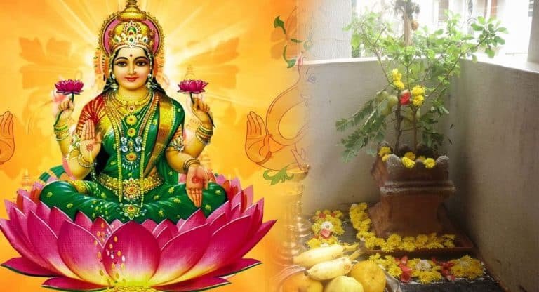 Tulsi Pooja : తులసిని పూజించేటప్పుడు ఈ మంత్రాన్ని తప్పకుండ పఠించాలి .. లక్ష్మీదేవి అనుగ్రహం తప్పకుండా కలుగుతుంది ..