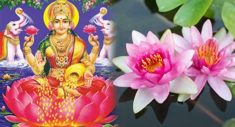 Lakshmi Devi : లక్ష్మీదేవిని ఈ పువ్వుతో పూజిస్తే .. ఇంట్లో డబ్బే డబ్బు ..!