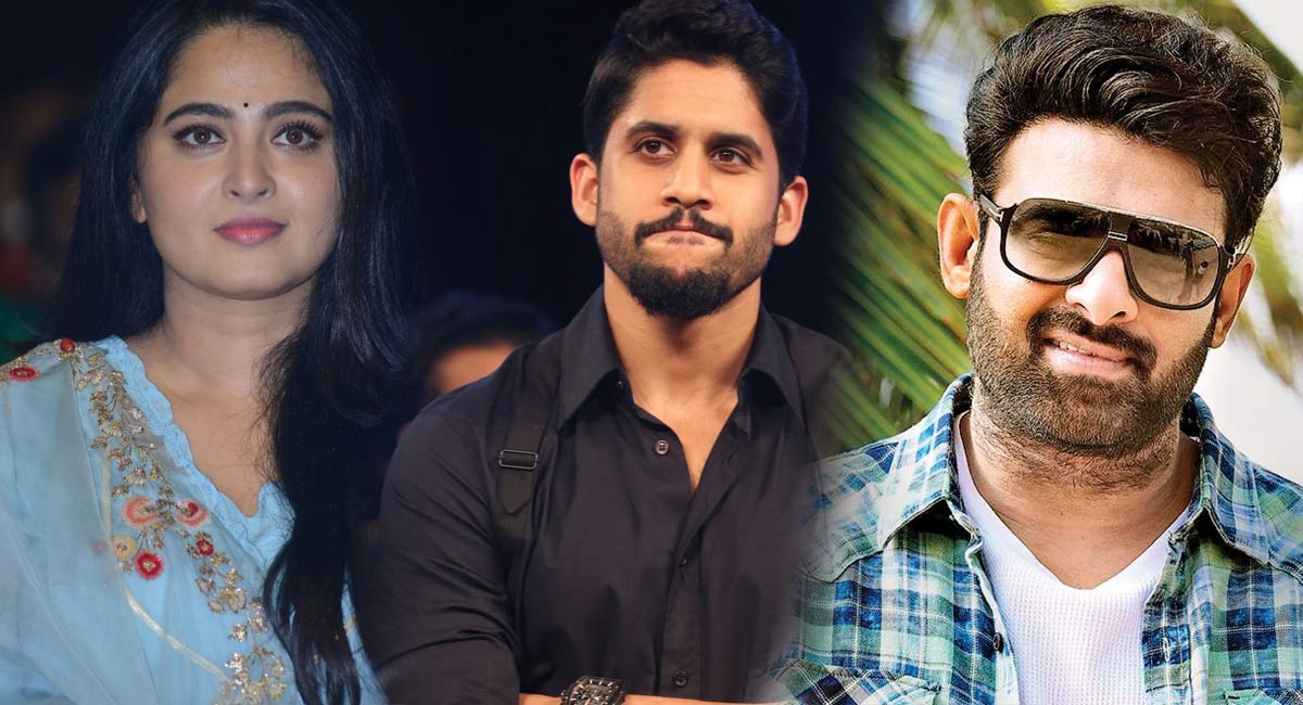 Anushka Shetty : ఏంటి అనుష్క శెట్టి కీ నాగ చైతన్య కీ మధ్య లవ్వా ? ప్రభాస్ కి తెలిస్తే ఇంకేమైనా ఉందా ?