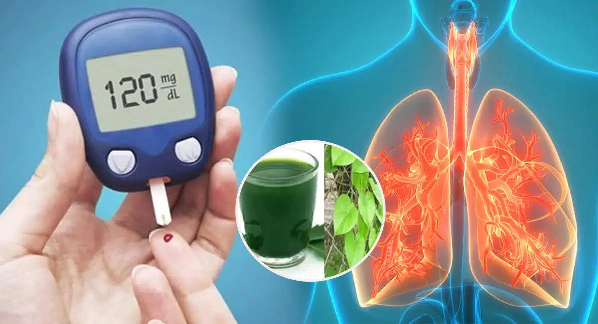 Health Benefits of The juice of this leaf is divine medicine