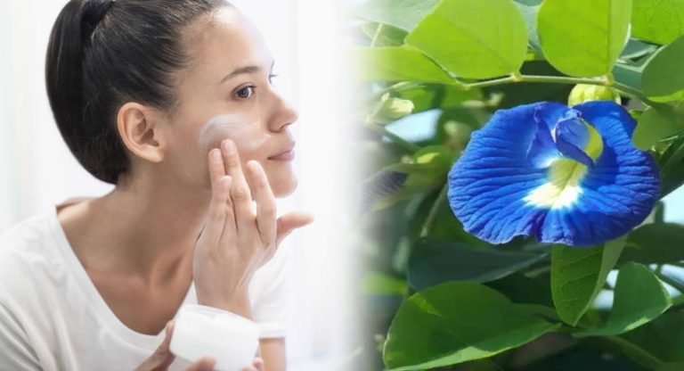 Skin Benefits : మీ చుట్టుపక్కల ఈ మొక్క ఉంటే అస్సలు వదిలేయకండి.. మీ స్కిన్ కి ఎన్నో బెనిఫిట్స్…!