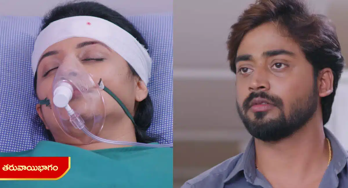 guppedantha manasu 24 november 2022 full episode
